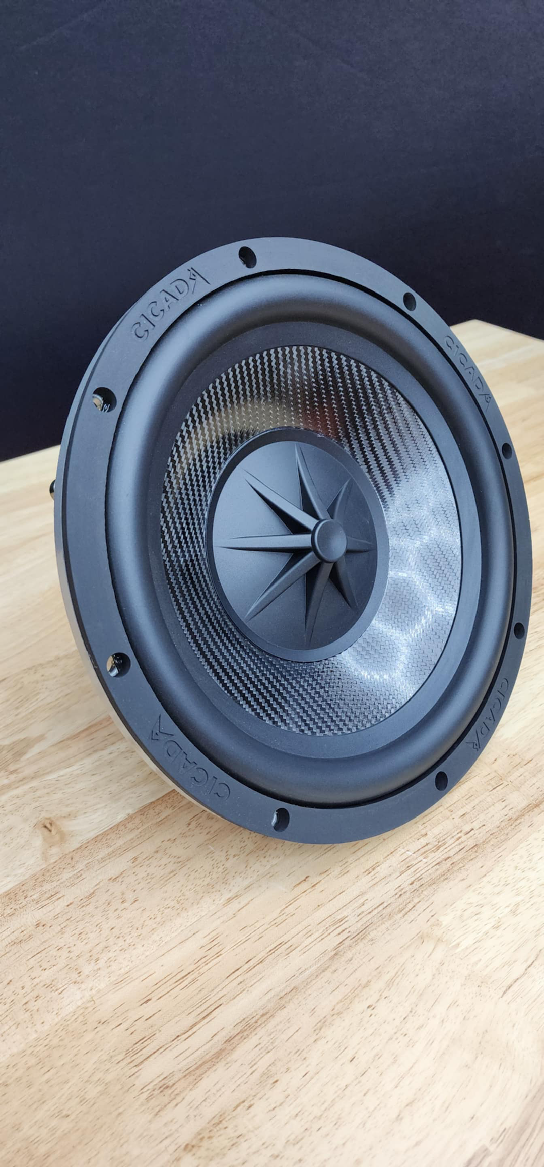 Cicada Audio® 10" CMB10.S4
Pro Mid-Bass Driver w/ CMC™ & NEO Technology