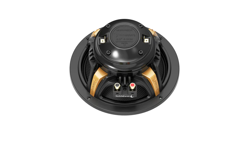 Diamond Audio MS652NEO4 6.5" 2-Way Coaxial Neo Speakers (4Ω)
All Weather 6.5 Pro Coaxial Driver Speaker