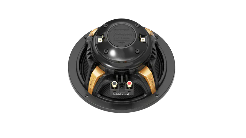 Diamond Audio MS652NEO4 6.5" 2-Way Coaxial Neo Speakers (4Ω)
All Weather 6.5 Pro Coaxial Driver Speaker