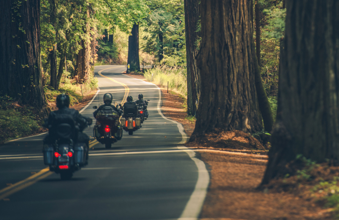 line of motorcycle driving down a forrest road