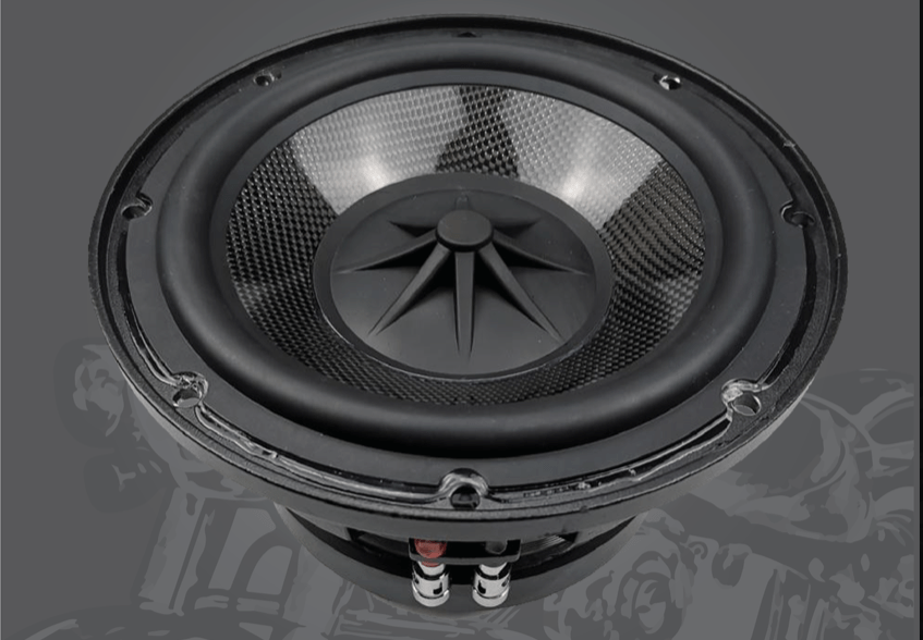 8 Inch Subwoofer | Cicada Audio | Motorcycle Stereo – Garage 8 Inch Subwoofer | Cicada Audio | Motorcycle Stereo – Garage
