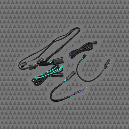 Cicada Audio 24HDRO 2024+ H‑D® Rear Output Speaker Wire Harness