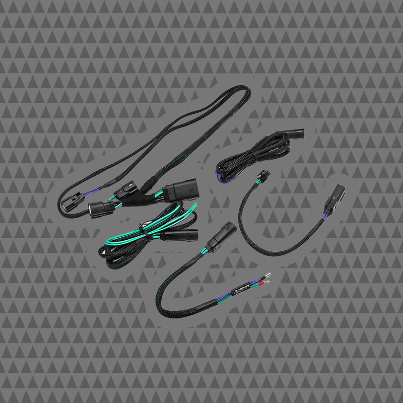 Cicada Audio 24HDRO 2024+ H‑D® Rear Output Speaker Wire Harness