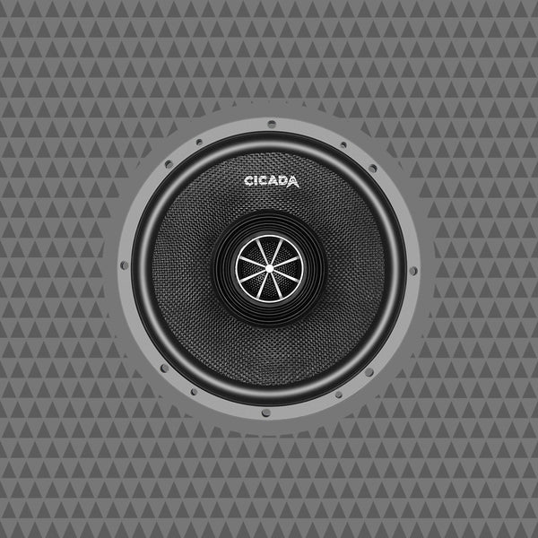 Cicada Audio CXX8 | 8