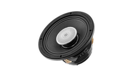 Diamond Audio MS652NEO4 6.5" 2-Way Coaxial Neo Speakers (4Ω)
All Weather 6.5 Pro Coaxial Driver Speaker