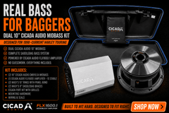 Cicada Audio 10