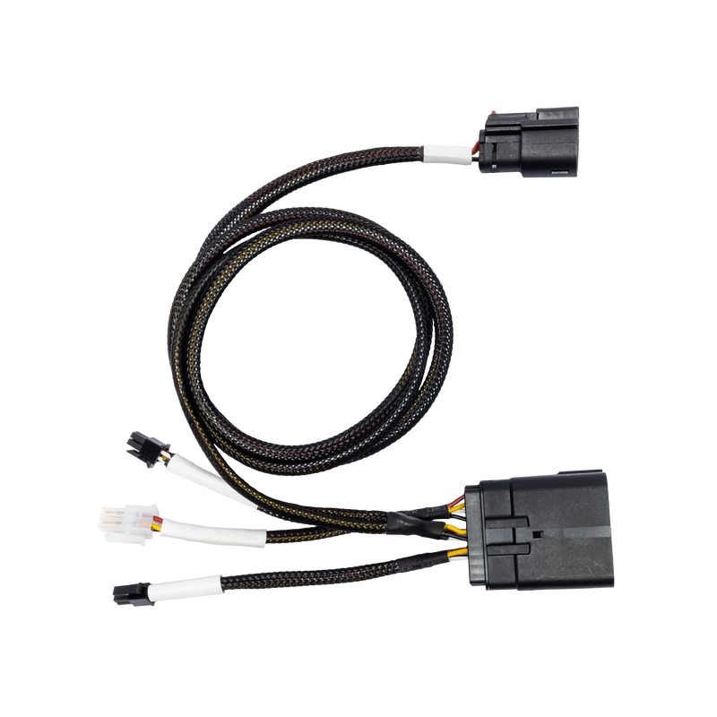 RFK-HD24 Skyline OS interface harness