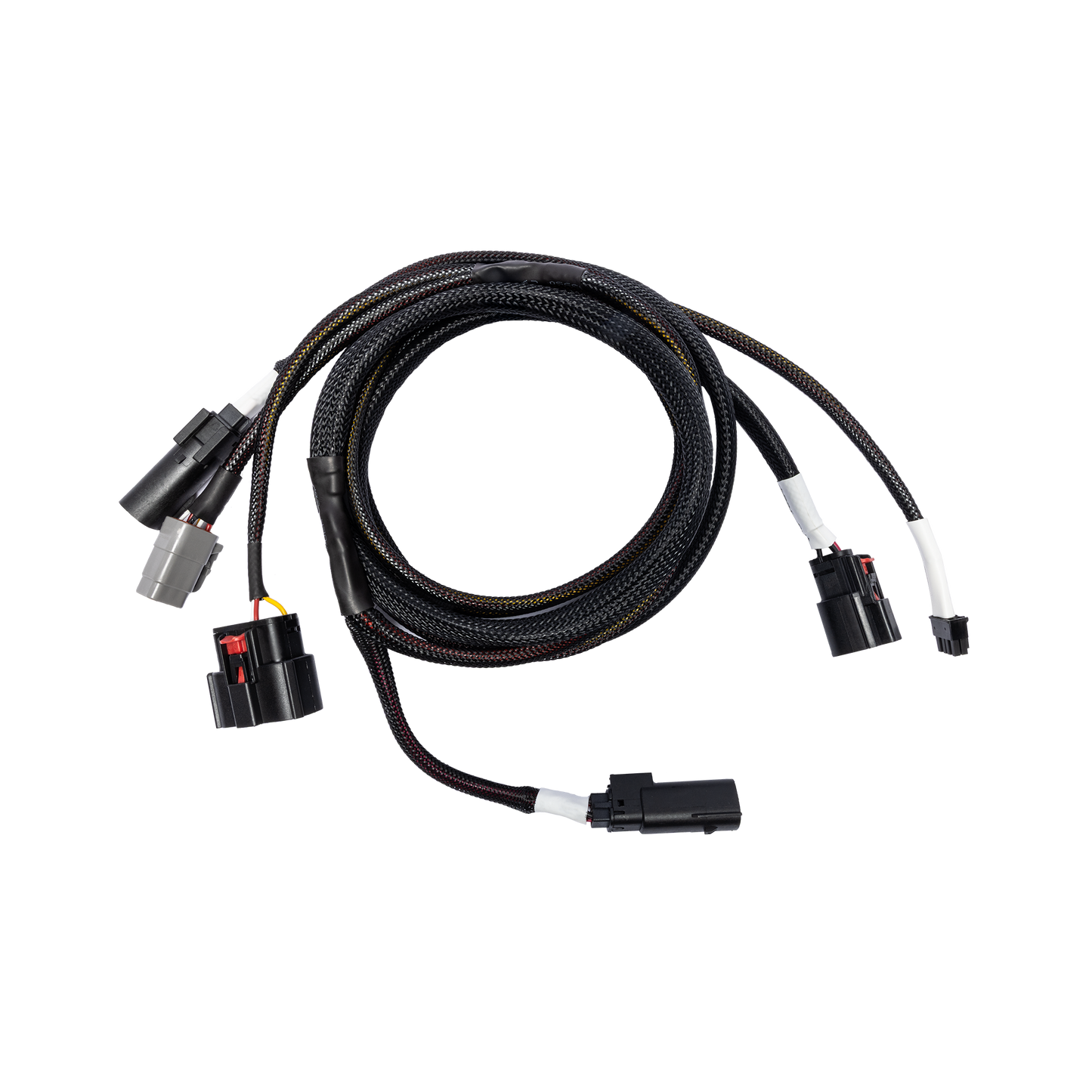 RFK-HD24 main harness