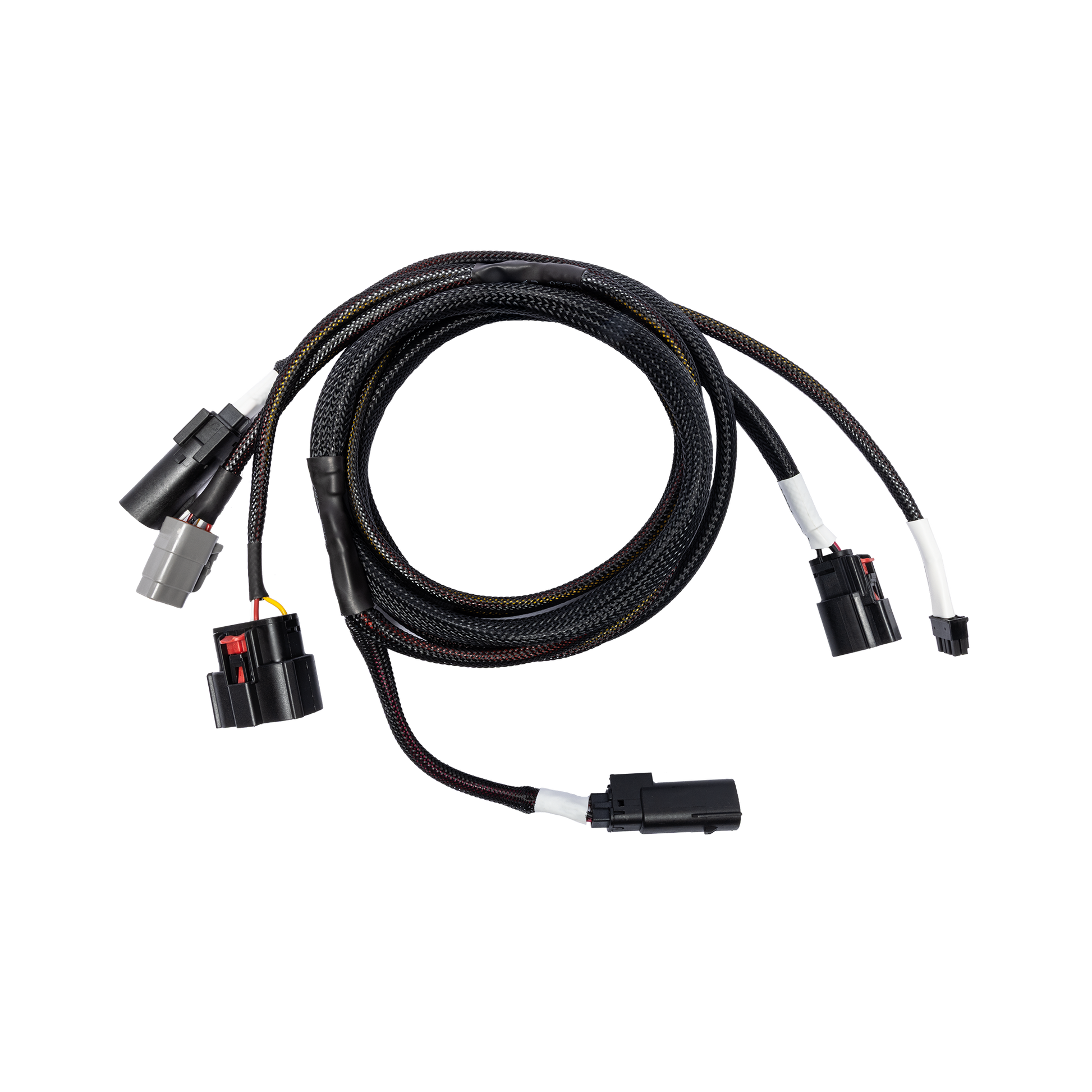 RFK-HD24 main harness