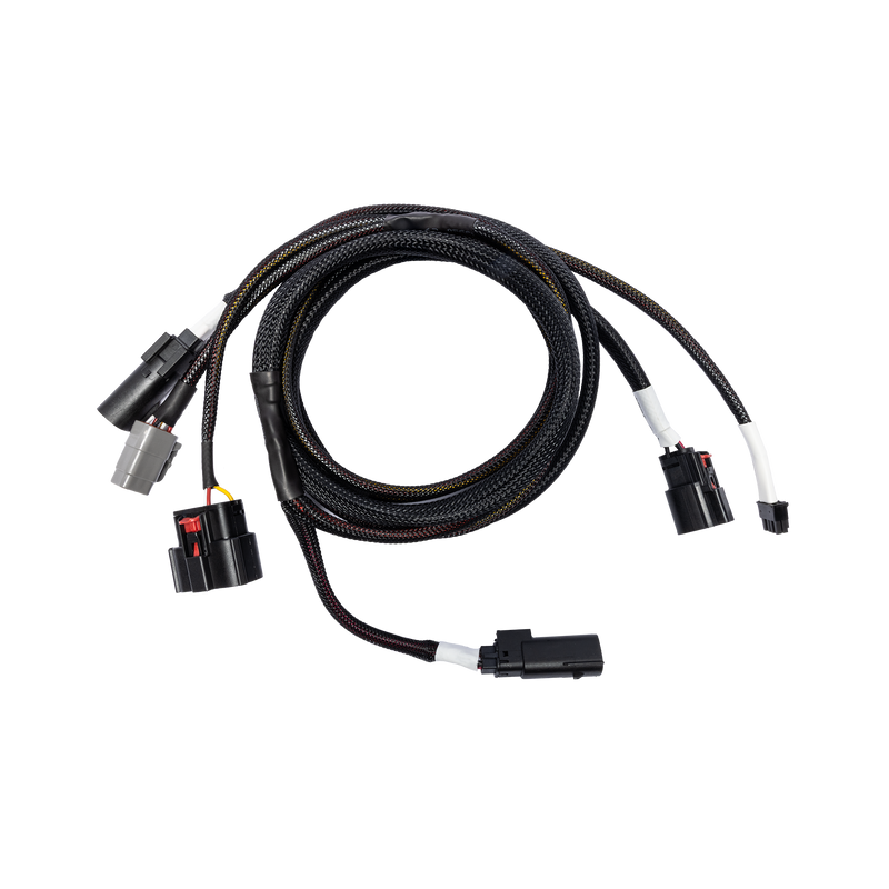 RFK-HD24 main harness