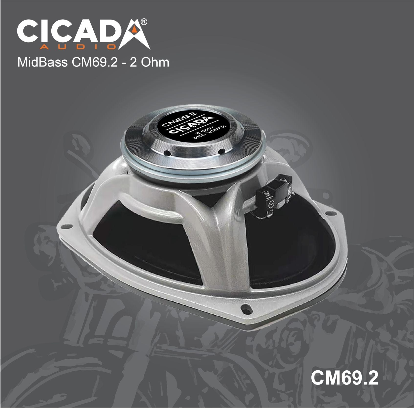 Cicada Audio Speakers 6x9 Cicada CM69 Midrange Speakers 6x9" (2Ω and 4Ω)